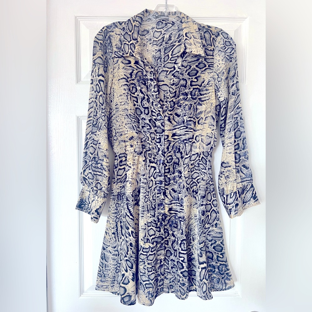 Zara dress